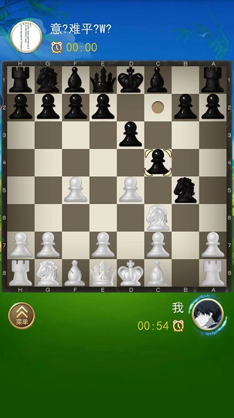 国际象棋双人