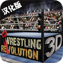 摔跤革命3D中文版