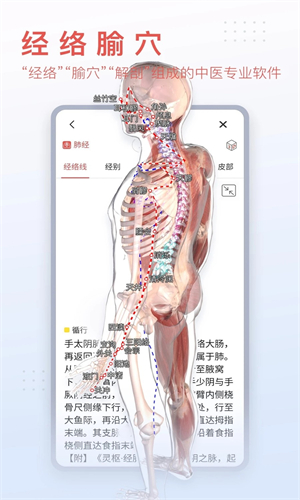 3Dbody解剖截图2