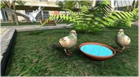 鸽子生存模拟器游戏官方版
