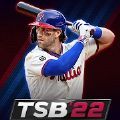 MLB美国职业棒球大联盟22