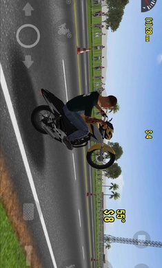 摩托车平衡3D截图2