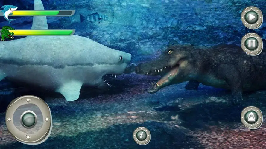 鲨鱼吞噬进化