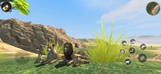 野生狮子生存模拟器