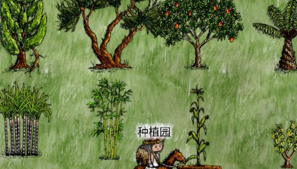 华夏人生种植园建造攻略 种植园工具使用