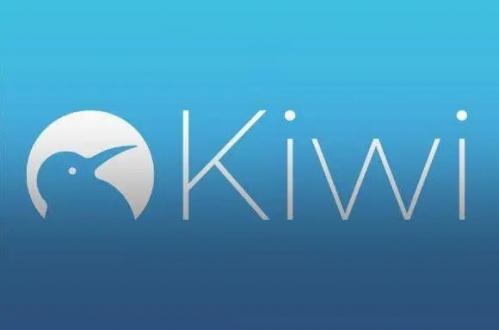 kiwi浏览器手机版