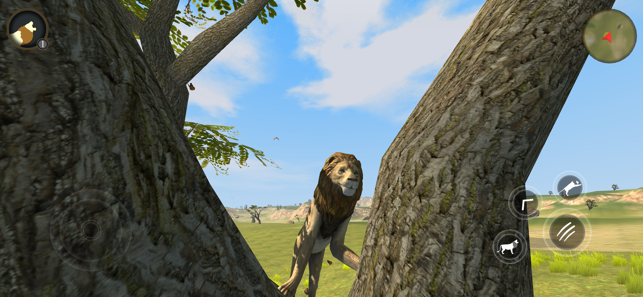 野生狮子生存模拟器截图3