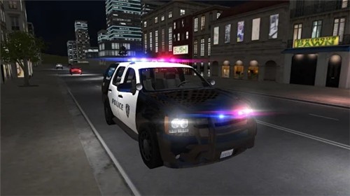 美国警察驾驶模拟器截图2