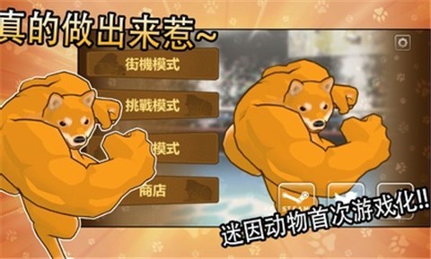 动物之斗中文版截图2