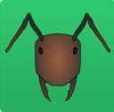 多明蚂蚁