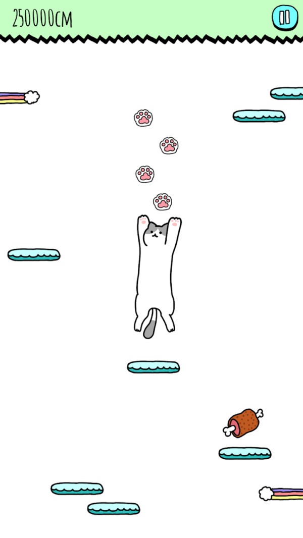 空中猫咪图3