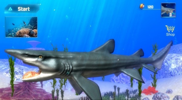 旋齿鲨模拟器截图2