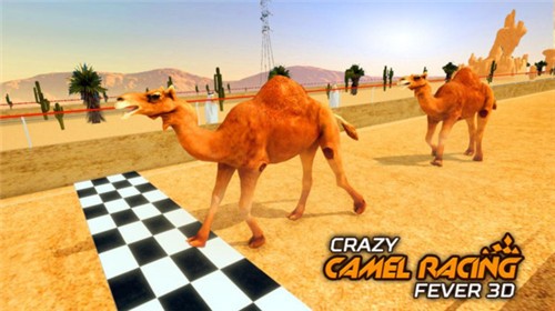 骆驼跑酷模拟器游戏截图2