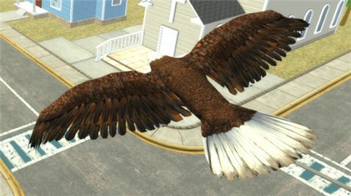 飞鹰模拟器2020游戏截图3