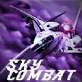 空战空中毁灭(sky combat)