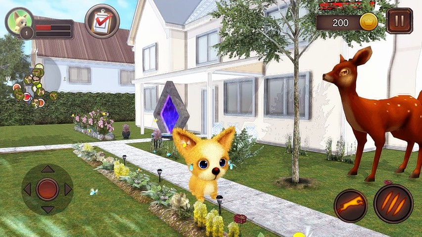 吉娃娃模拟器Chihuahua Dog Simulator截图4