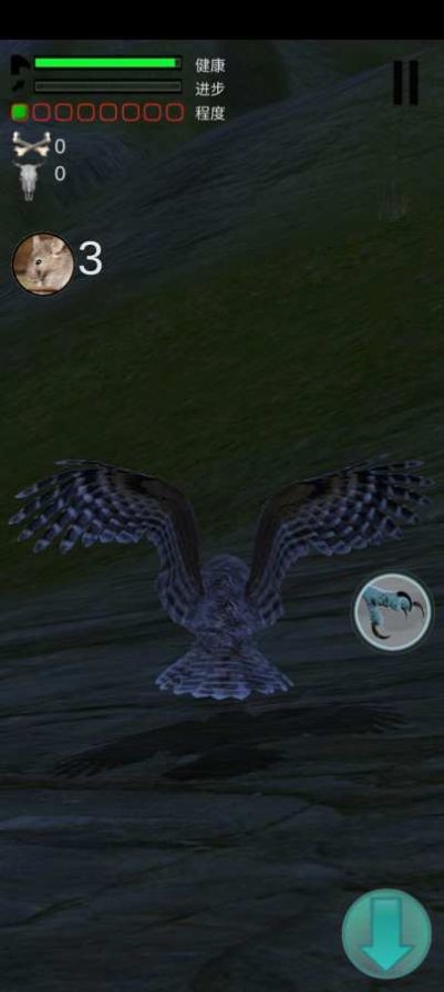 猫头鹰狩猎之旅Owl Hunting Journey截图3