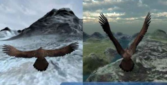 3D猫头鹰狩猎模拟截图3