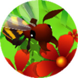 蜜蜂进化3D最新版