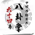 中国传统武术八卦掌六十四
