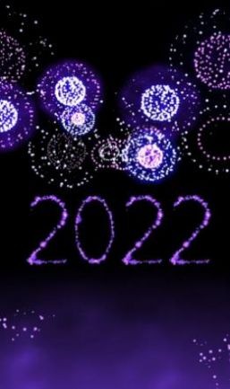 新年烟花模拟器2022截图3