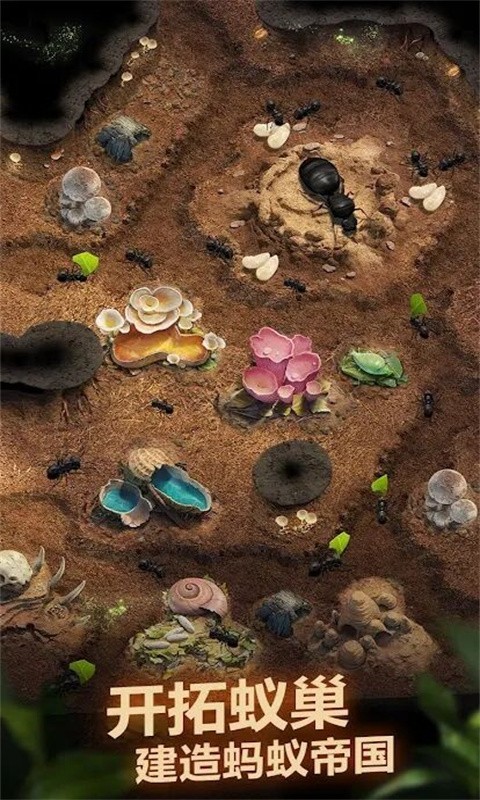 荒野蚂蚁模拟最新版截图1