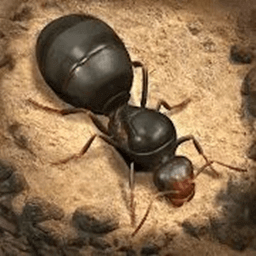 荒野蚂蚁模拟最新版