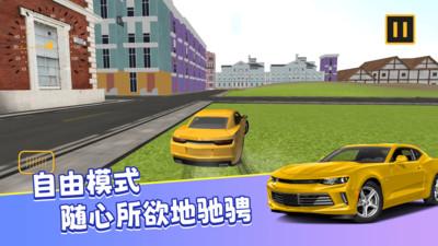 真实模拟司机驾驶游戏截图2