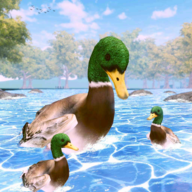 鸭子家庭生活模拟器3d