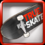 True Skate正版