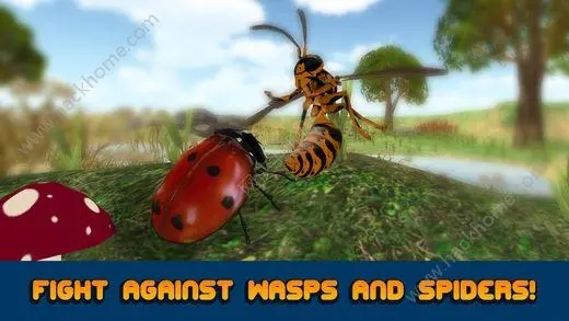模拟昆虫游戏