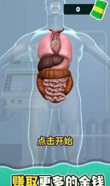 消化器官截图3